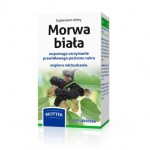 Morwa Biala - Morus alba